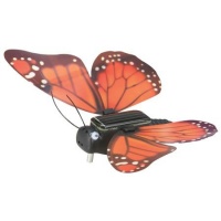 Butterfly (Motýl)