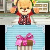3DS Teddy Together
