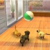 Nintendo 3DS Pink + Nintendogs+Cats-Golden Retr