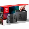 Nintendo Switch console with gray Joy-Con