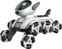 RoboDog Fleg