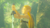 NS2 The Legend of Zelda: Breath of the Wild